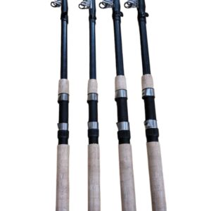 Спінінг телескоп Boya by Princess тест 100-200г 2.4м